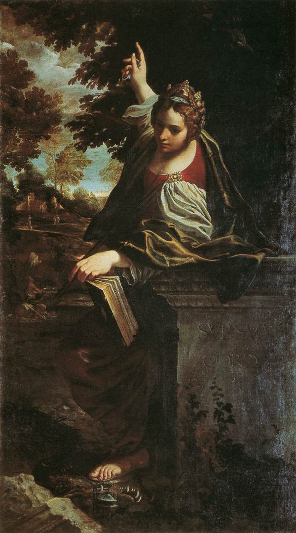 term image