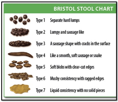 <p>What stools are considered constipated, normal, or lacking fiber/inflammation?</p>