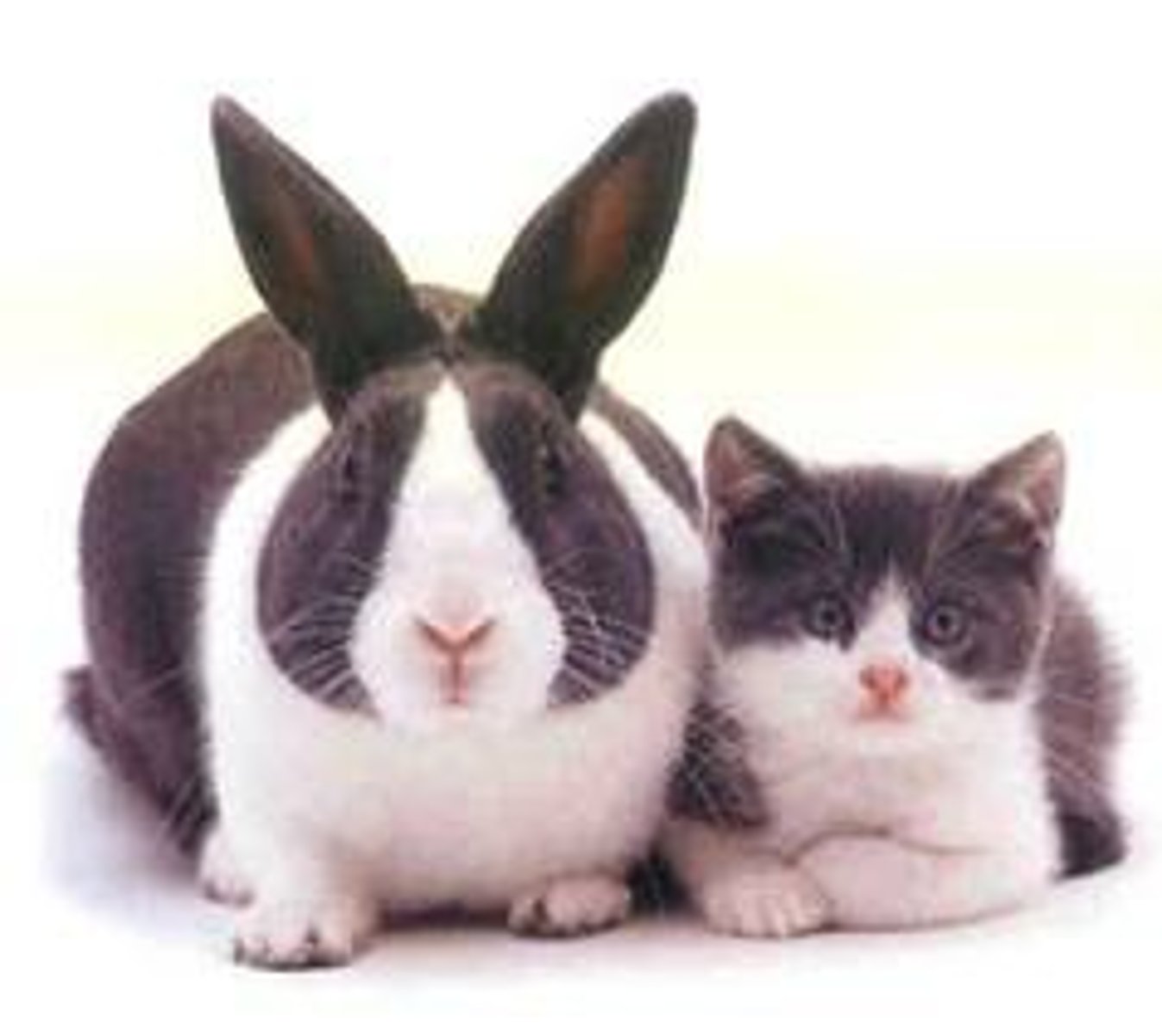 <p>trùng hợp = concur, overlap >< differ. Ví dụ: The festival will coincide with the national holiday.</p>