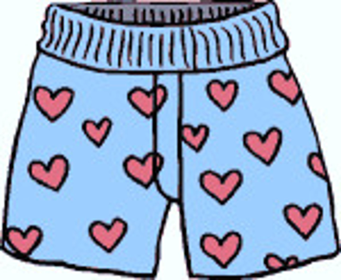<p>The underwear</p>
