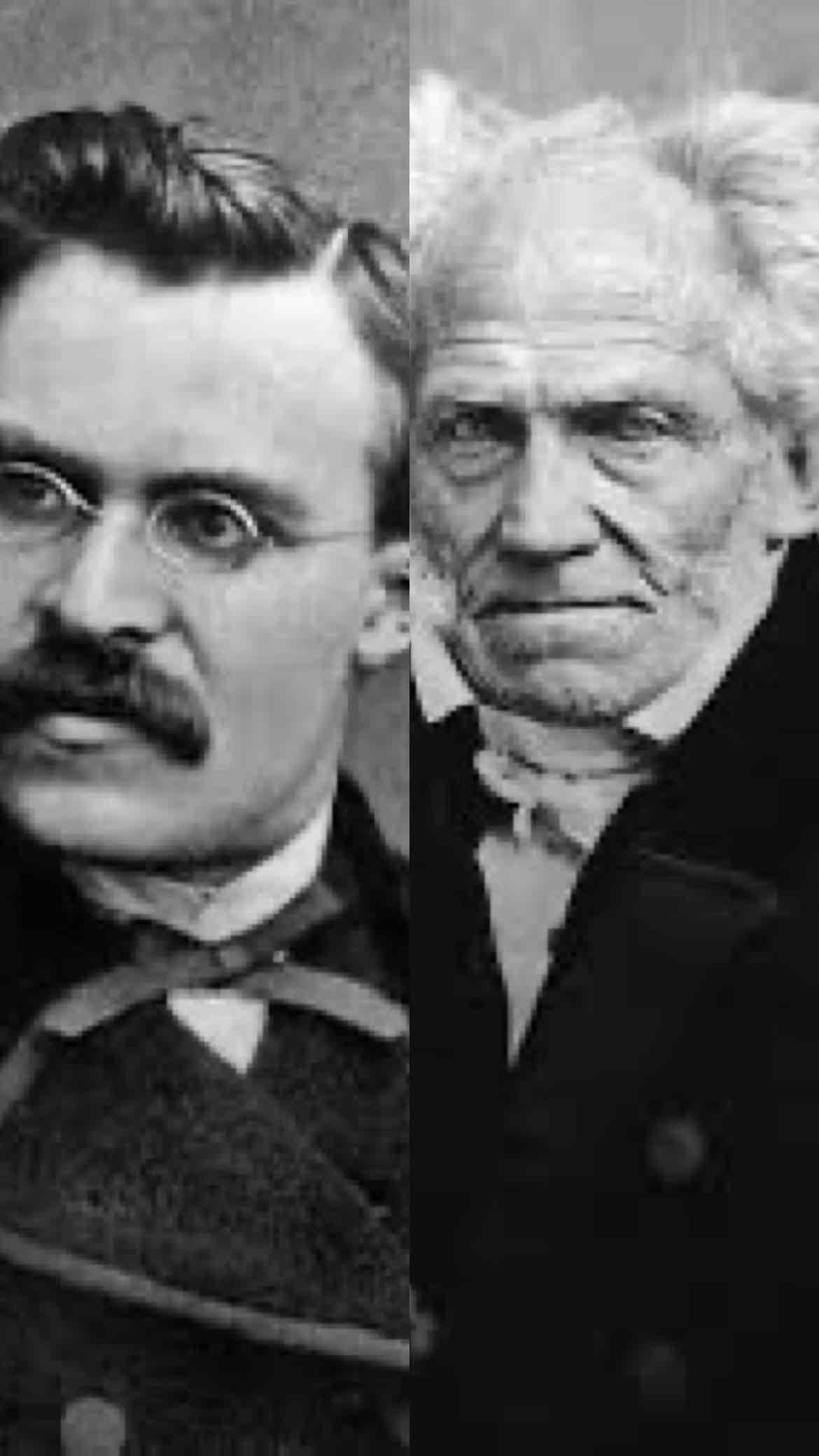 <p>two reasons why Schopenhauer argues that free will is an illusion. why Nietzsche dismisses this argument and why that the existence of free will has little to do with how we live our lives. </p>