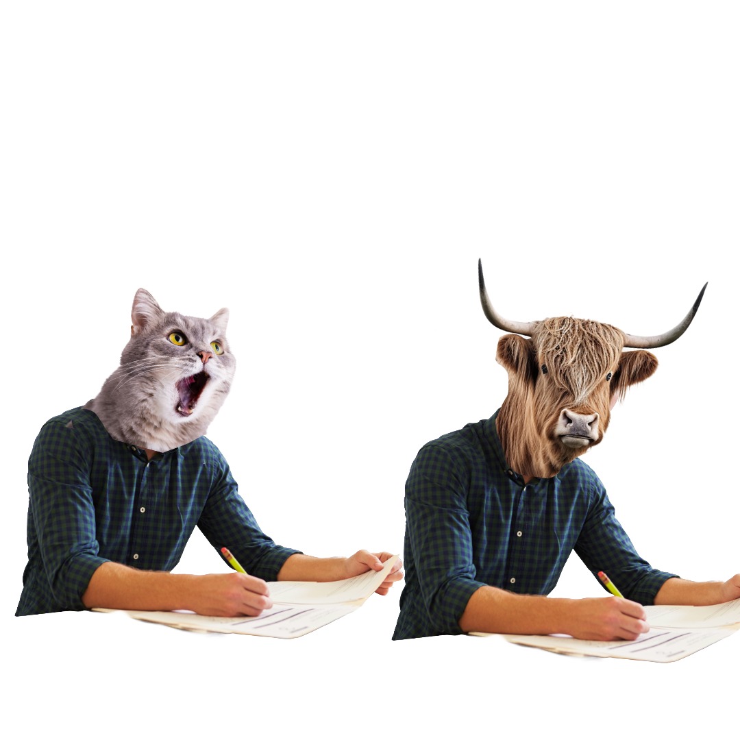 <p><strong>かく 書く</strong></p><p><span style="color: rgb(169, 169, 169);"><span>Kanji:</span></span></p><p><span style="color: rgb(169, 169, 169);"><span>書 Write</span></span></p>