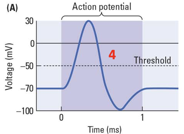 __ _____ open and __ _____ out. 