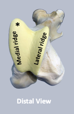 <p>what is yellow</p>