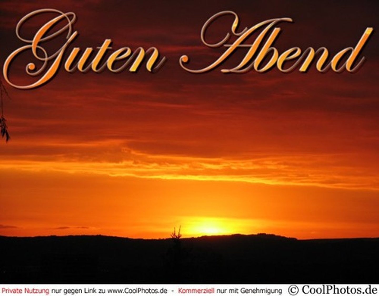 <p>Good evening.</p>