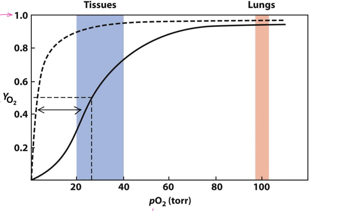 <p>explain the graph and its discrepancies </p>