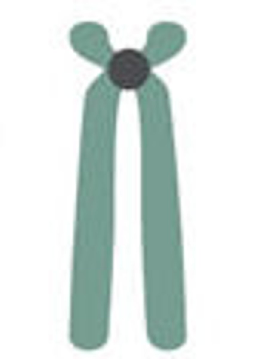 <p>-centromere close to end</p><p>-forms satelleties</p>