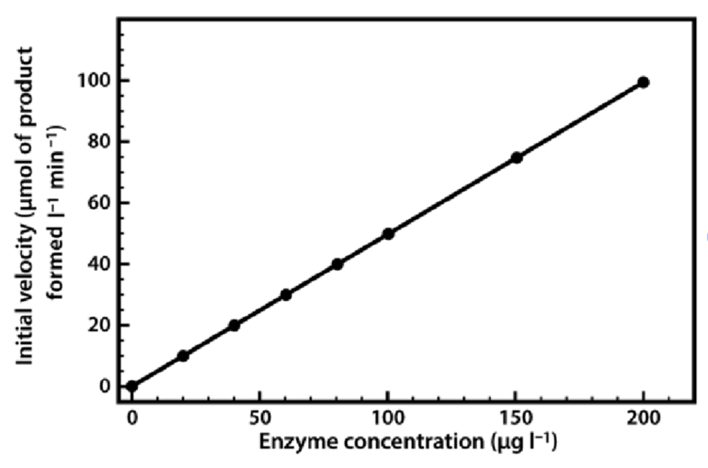 <ul><li><p>When individually measuring the rate of reaction for each [enzyme], similar curves are seen, where initially the reaction is fast but then slows down.</p></li><li><p>To compare the rate of reaction of each individual [enzyme] - best to compare the initial rate:</p><ul><li><p>Because amount of substrate once reaction goes on varies, as substrate is converted to product at diff rates for diff [enzyme]. </p></li><li><p>Only at start is [substrate] the same</p></li><li><p>This way we know any change in rate is due to only the differences in [enzyme] and not [substrate]</p></li></ul></li><li><p>Initial rate is directly proportional to the enzyme concentration. </p><ul><li><p>If more enzymes are present, there is more active sites for the substrate to bind to. </p></li></ul></li></ul><p>*As long as plenty of substrate available, rate of reaction increases linearly with [enzyme].</p>