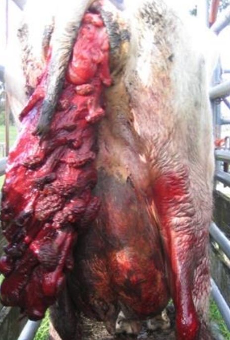 <p>What is this?</p><p>When does it occur?</p><p>Why would it occur (the broad categories)?</p>