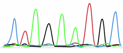 <p><span style="background-color: transparent; font-family: "Times New Roman", serif;"><span>Each colored peak on this graph represents</span></span></p>