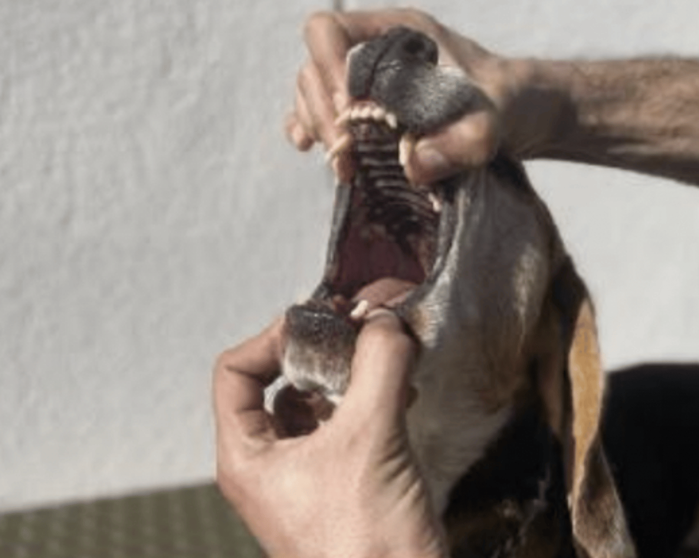 <p>what is happening here ?</p>