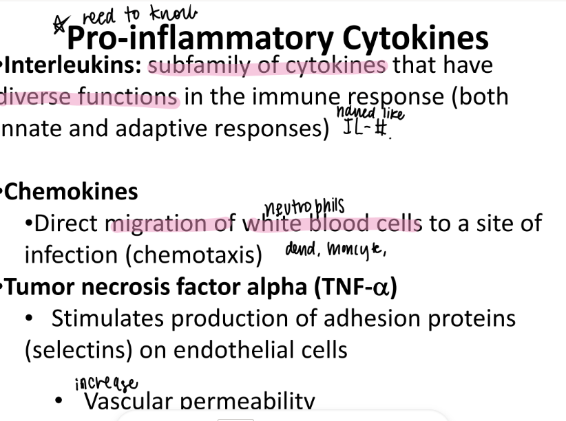 <p>cytokines that ATTRACT WBC’s to infection site. </p><p></p>