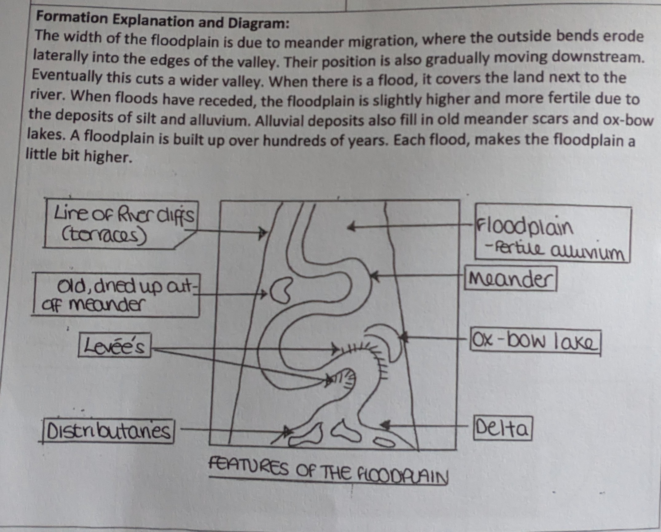 <ol start="4"><li><p>When floods have receeded, the floodplain is slightly higher and more fertile due to the deposits of silt and alluvium.</p></li><li><p class="has-focus">Alluvial deposits also fill in old meander scars and ox-bow lakes.</p></li><li><p class="has-focus">A floodplain is built over hundreds of years. Each flood makes the floodplain a little bit higher.</p></li></ol><p></p>