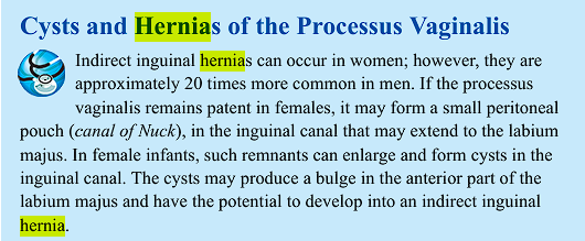 <p>cysts can produce a bulge and have the potential to develop into an indirect inguinal hernia (because it’s from birth, so it’s indirect).&nbsp;</p>
