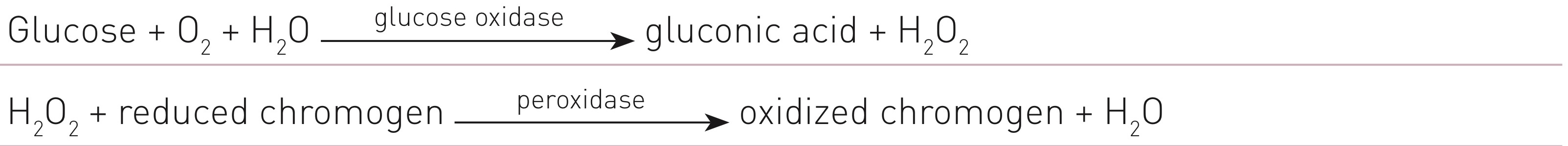 <p>What enzyme catalyzes this reaction?</p>