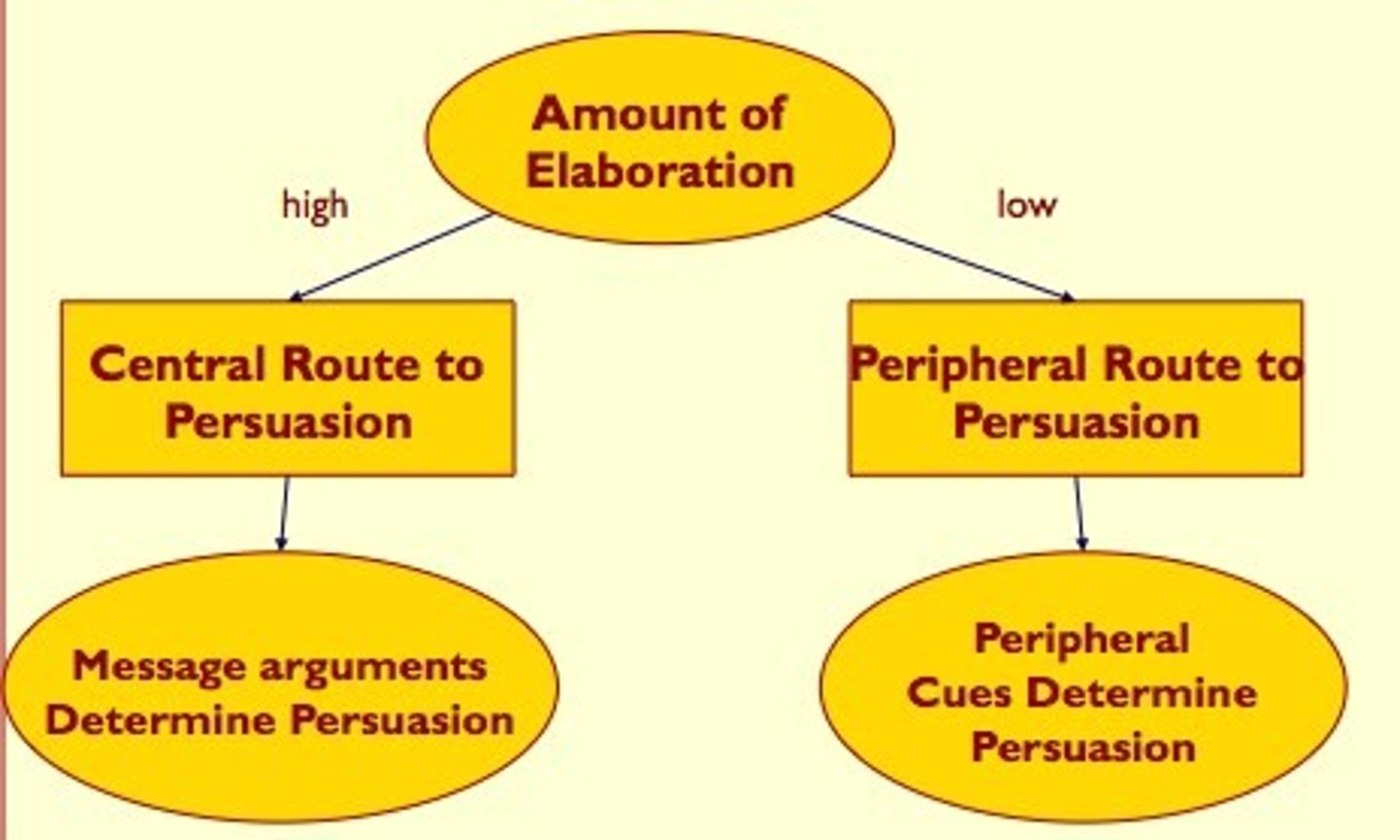<p>A model describing two routes to persuasion—central (focused on argument quality) and peripheral (focused on superficial cues); example: Being persuaded to buy a car by logical arguments (central) versus the attractiveness of the salesperson (peripheral).</p>