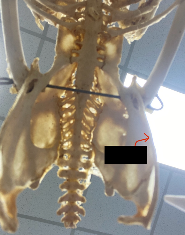 <p>What part is this&nbsp;</p>
