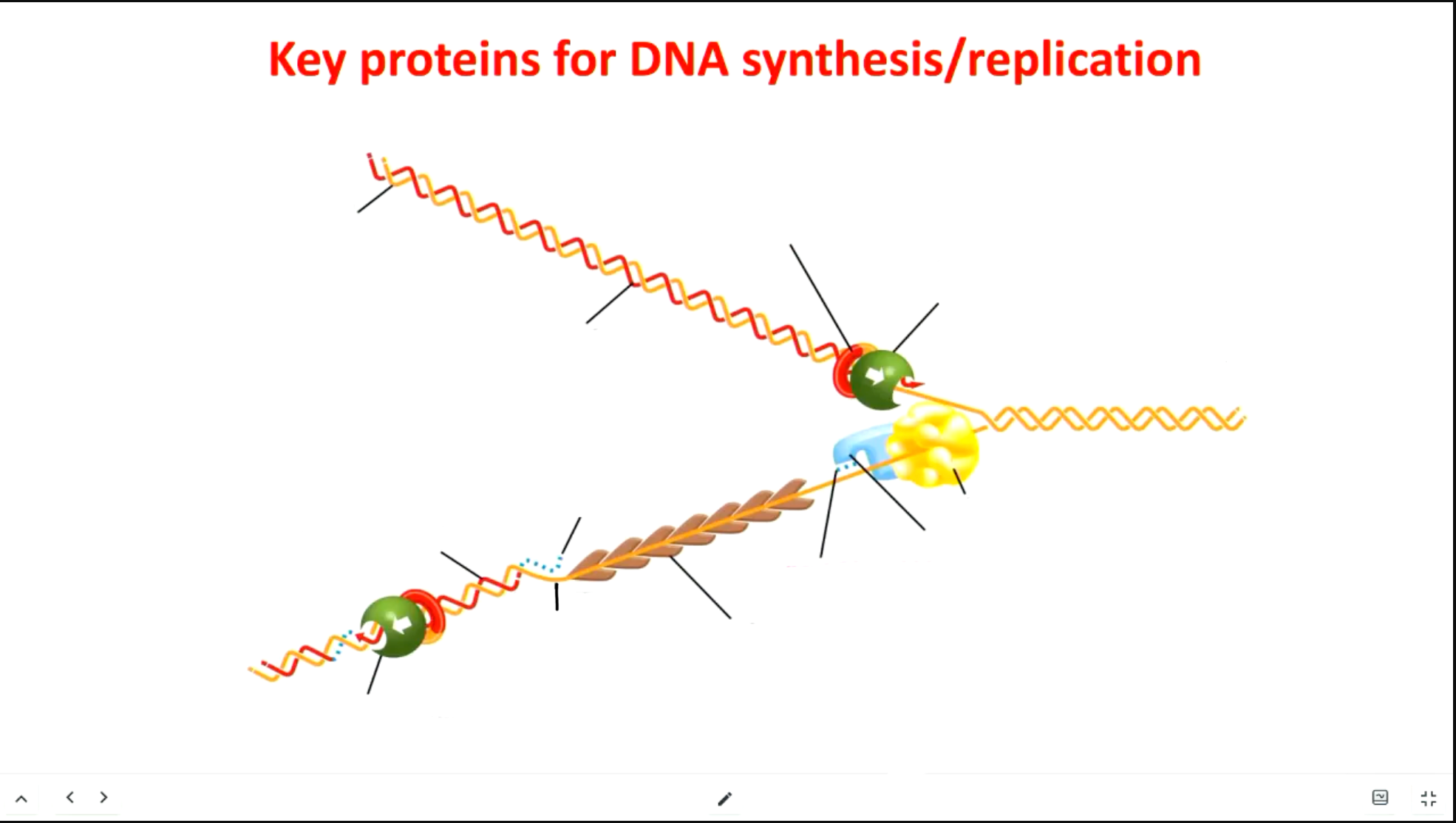 <p>Label this diagram</p>