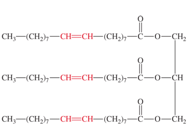 <p>more double bonds makes it more oil-like</p><ul><li><p>unsaturated fatty acids</p></li><li><p>double bonds</p></li></ul>