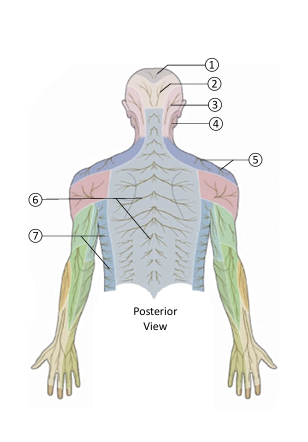 <p>6</p>