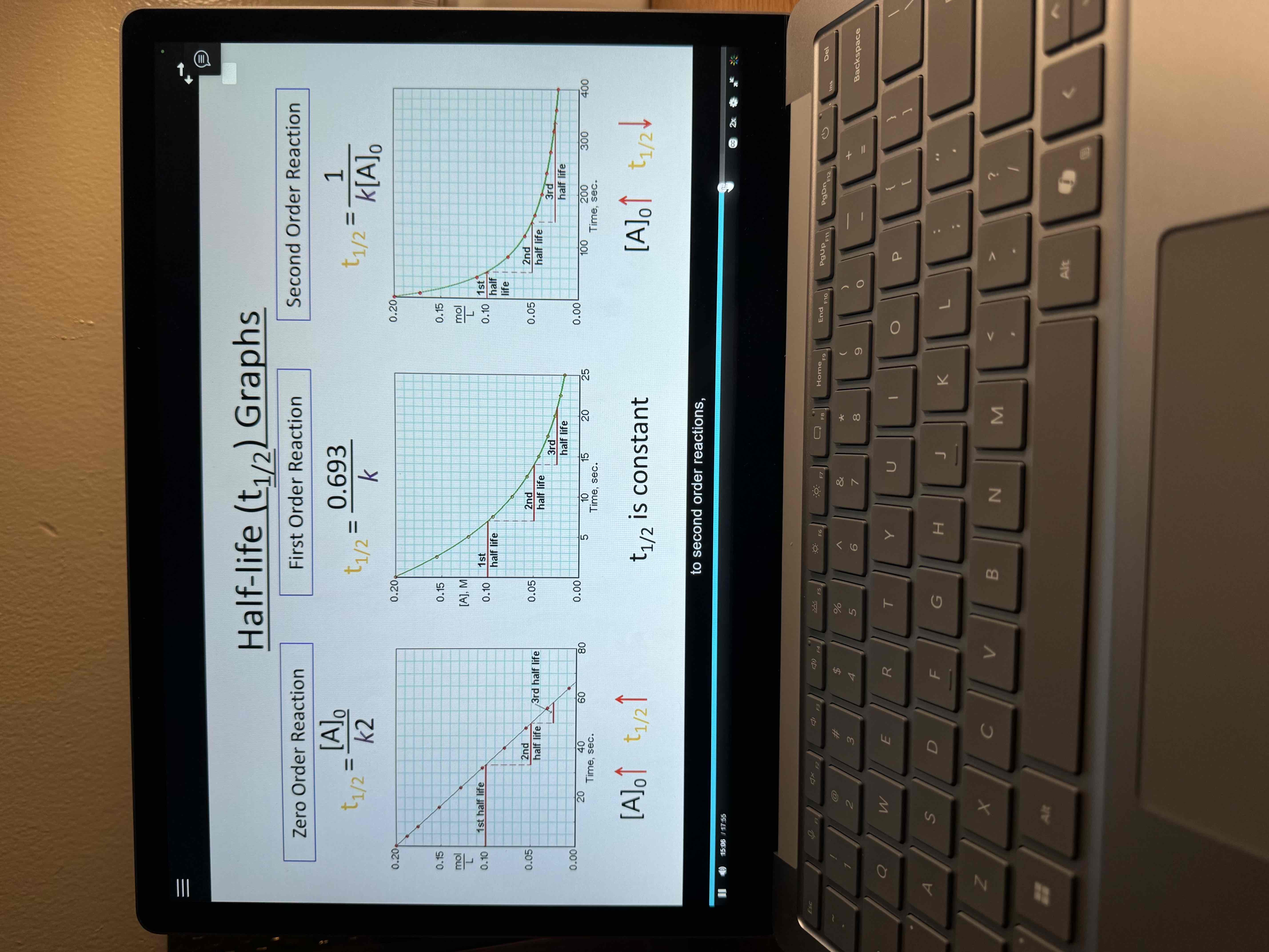 <p>Half life graphs </p>