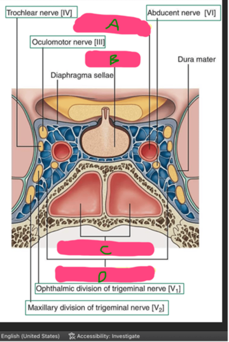 <p>Name each structure</p>