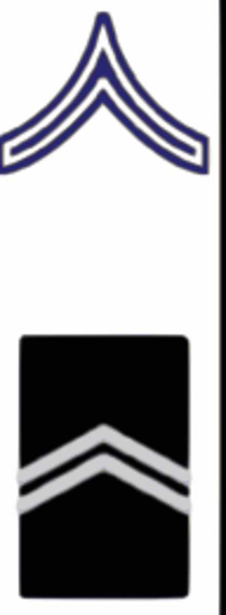 <p>2 Chevrons</p>