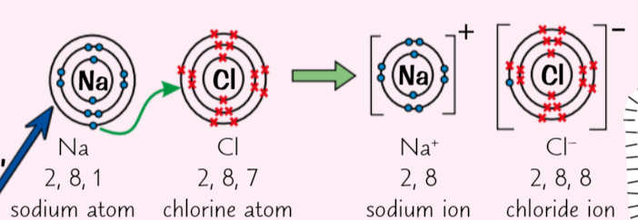 <p>What does Sodium chloride do (NaCl), What does chlorine then do</p>