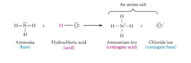 <ul><li><p>reaction of amine with acid</p></li><li><p>forms amine salt (ammonium salt) (N+ and Cl-)</p></li></ul>