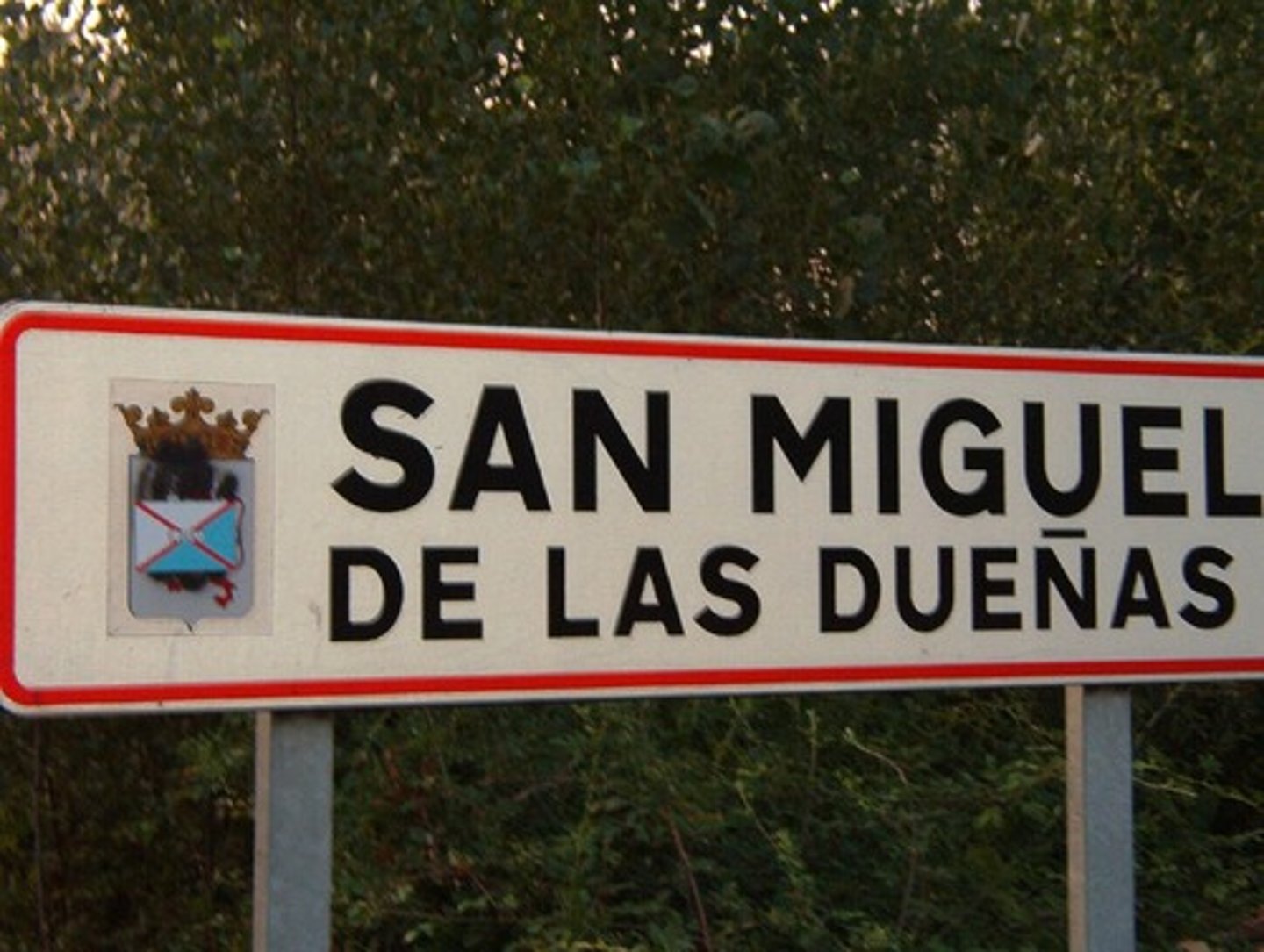 <p>the sign</p>