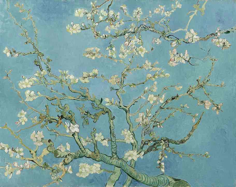 <p>Almond Blossoms (1888–1890)</p>