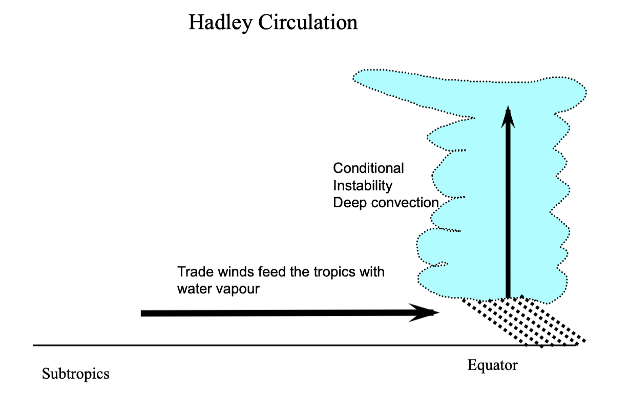 <p>explanation:</p><ul><li><p>creates a low pressure system near surface</p></li><li><p>trade winds travel easterly</p></li><li><p>E —&gt; W</p></li><li><p>feeds equatorial trough with more water vapour</p></li><li><p>more water vapour = more instability</p><p></p></li></ul><p></p>