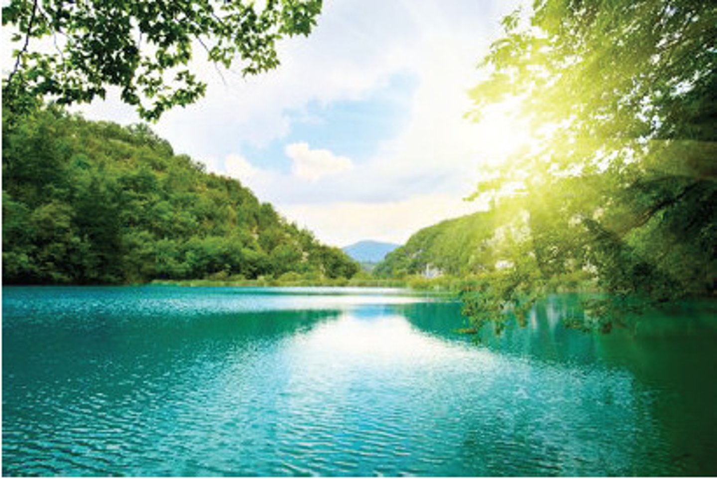 <p>Water without salt</p>