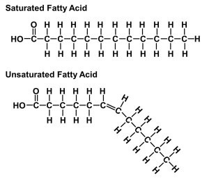<p>Saturated, unsaturated</p>