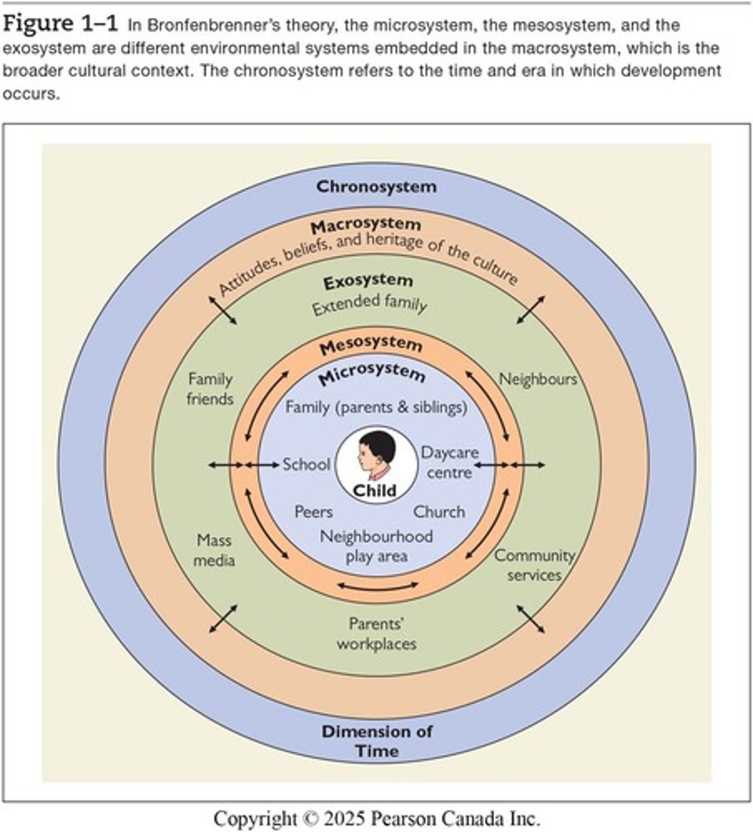 <p>1.<strong>Microsystem</strong>: </p><ul><li><p>Childs immediate environment. Different microsystems can affect one another ex: chruh and how a family operates.</p></li></ul><p>2.<strong>Mesosystem</strong>: </p><ul><li><p>Connects the exosystem and the microsystem (interactions of microsystems ex: family values church and so they send the child to a specific religious school)</p></li></ul><p>3.<strong>Exosystem</strong>: </p><ul><li><p>Social systems. That the child doesn’t necessarily interact with ex: Mums work and child, mum has a bad day at work and influences how she acts toward the child.</p></li></ul><p>4.<strong>Macrosystem</strong>: </p><ul><li><p>Larger cultural setting like attitudes, beliefs, and heritage of the culture ex: Beliefs of a shorter work week because people need a life about</p></li></ul><p>5. <strong>Chronosystem</strong>: </p><ul><li><p>Dimensions of time (eras)</p></li></ul><p></p>