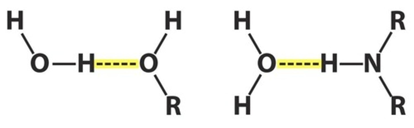 <p>Electrostatic attractions between a δ+ hydrogen atom and a δ- atom (N, O, or F) in another molecule.</p>