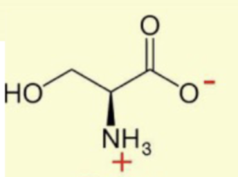 <p>simple alcohol</p>