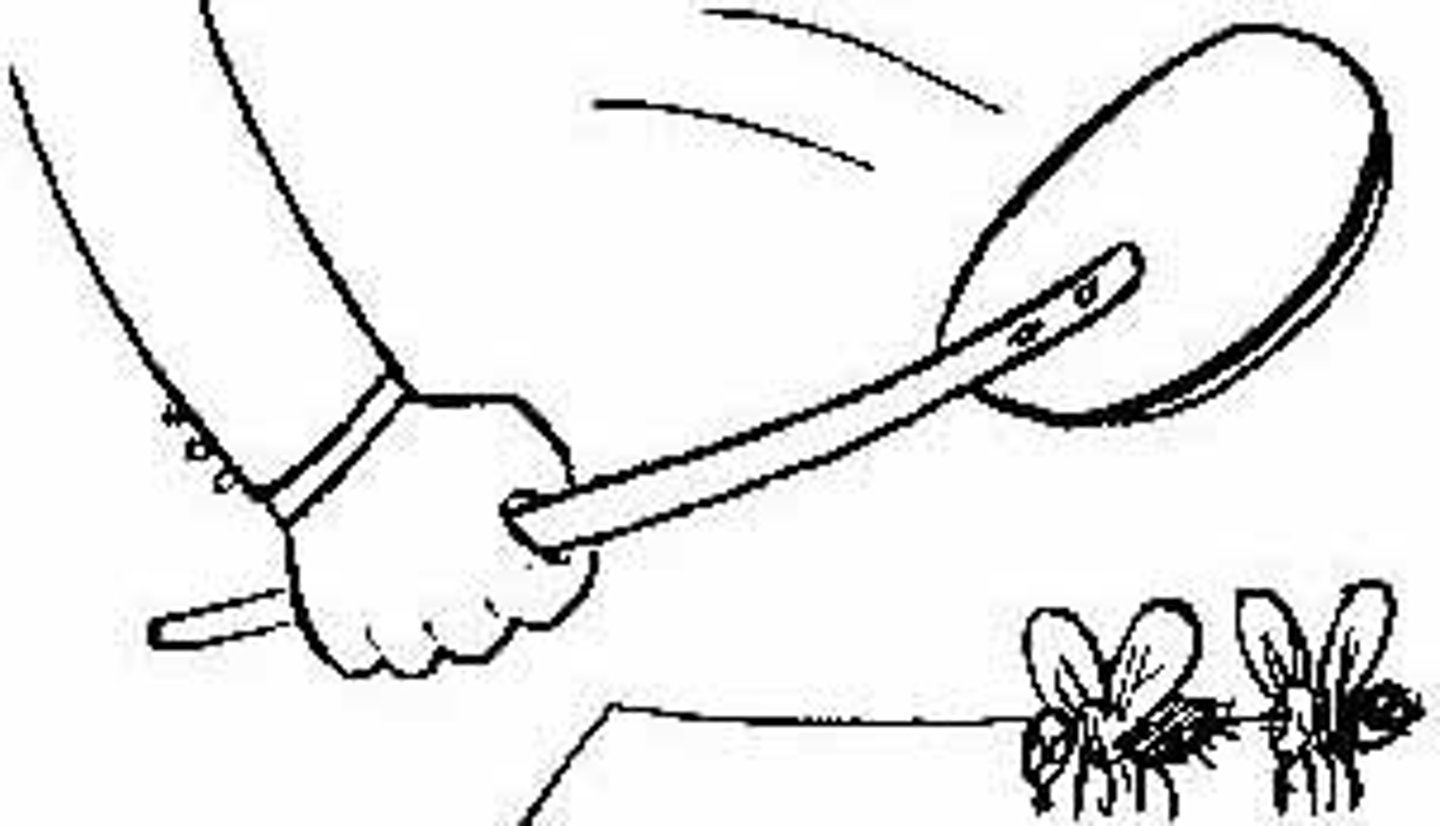 <p>Bir taşla iki kuş vurmak</p>