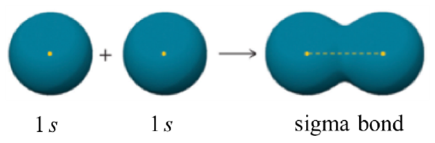 <ul><li><p>it is formed when <mark data-color="yellow" style="background-color: yellow; color: inherit">2 s orbitals overlap</mark></p></li><li><p>these overlap in a straight line - giving the<mark data-color="yellow" style="background-color: yellow; color: inherit"> highest possible electron density</mark> between 2 nuclei - single covalent bond</p></li><li><p>high electron density means <mark data-color="yellow" style="background-color: yellow; color: inherit">strong electrostatic attraction</mark> between the nuclei and shared pair of electrons. </p></li><li><p>means they have <mark data-color="yellow" style="background-color: yellow; color: inherit">high bond enthalpy</mark> - strongest type of covalent bond</p></li></ul><p></p>