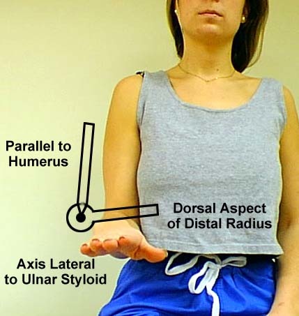 <p>Axis: Lateral to ulnar styloid</p><p>Proximal Arm: Parallel to the shaft of the humerus</p><p>Distal Arm: Dorsal aspect of the forearm between the styloids</p><p>ROM: ~75 degrees</p><p>End-Feel: Firm</p><p>Notes - make sure elbow is at patients side</p>