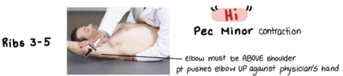 <p>"hi"</p><p>m: pec minor </p><p>pt elbow ABOVE shoulder pt pushes elbow UP against physicians hand</p><p>stand on same side as SD </p><p>index and middle finger hook onto posterior and SUPERIOR aspect of the dysfunctional rib pulling rib inferolaterally at the rib angle</p><p>ribs are stuck DOWN</p>