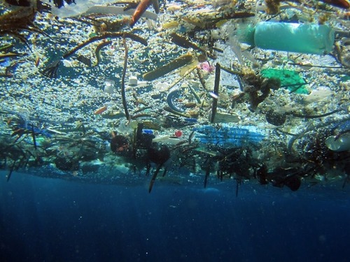 large visible debris including nets, bucket, and trash that has not degraded