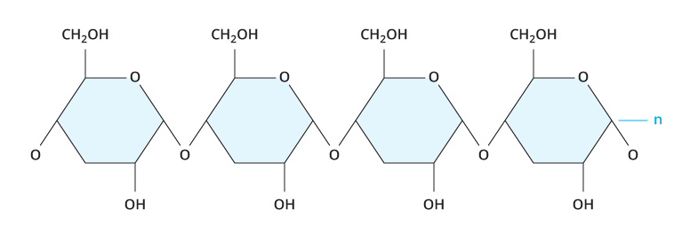<p>what is this</p>
