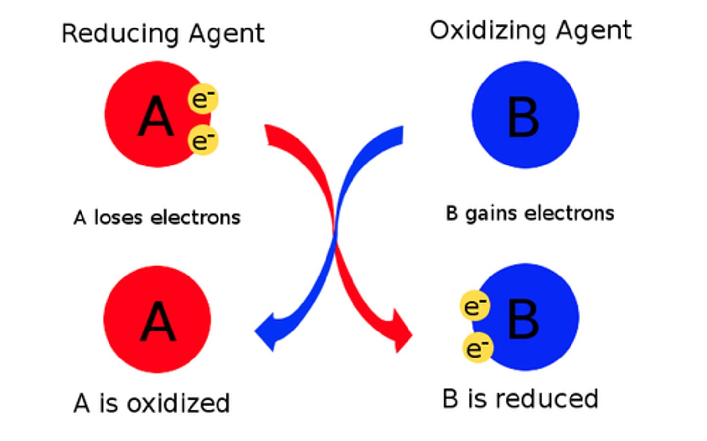 <p>reducing agents</p>