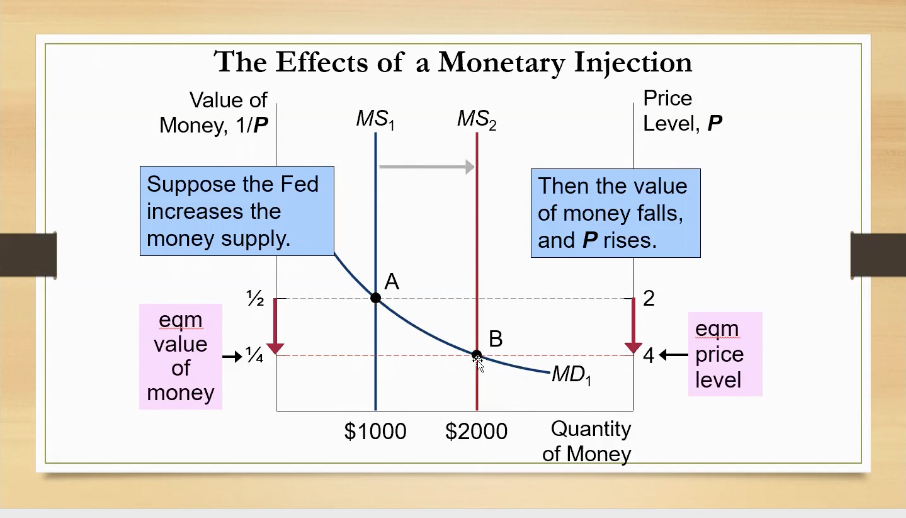 <p>As MS increases, it slides down the MD curve, resulting in a higher eqm price level (4) and lower eqm value of money (1/4)</p>