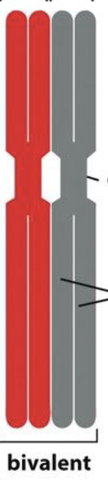 <p>who are these cuties</p>