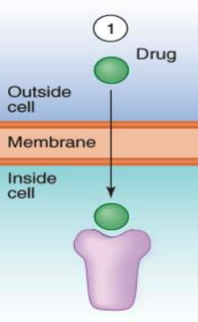 **Signaling Mechanisms:**