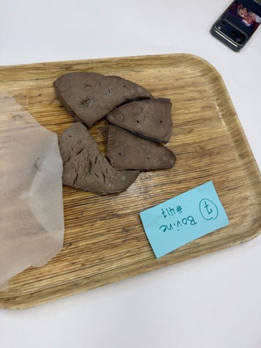 <p>Provide morphological diagnosis</p>