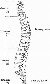 <p>What is 5 pt.2 on the diagram called?</p>