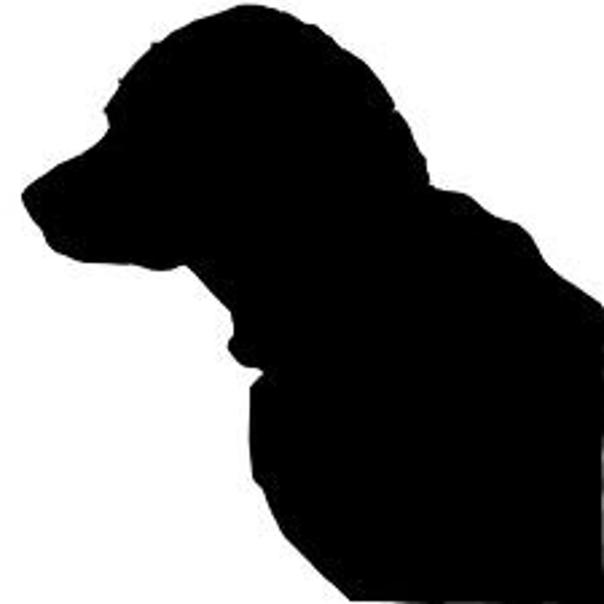 <p>shape, silhouette</p>